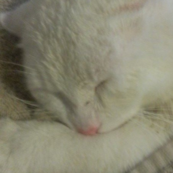 Meet your Posher, Elle Bree - Picture 3 of 8